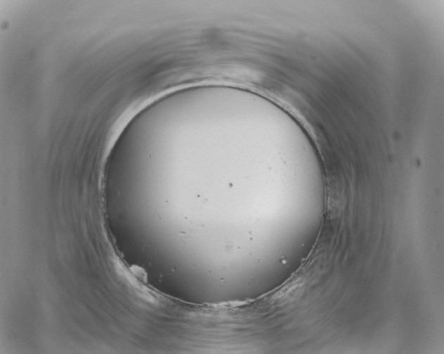 X0000062671532200601040956