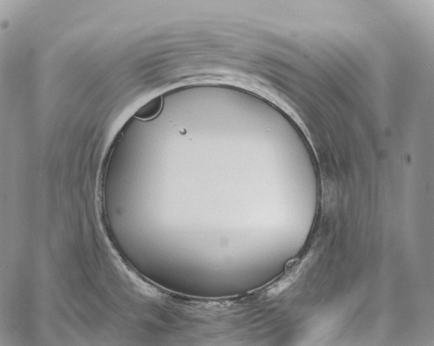 X0000062671533200601040956