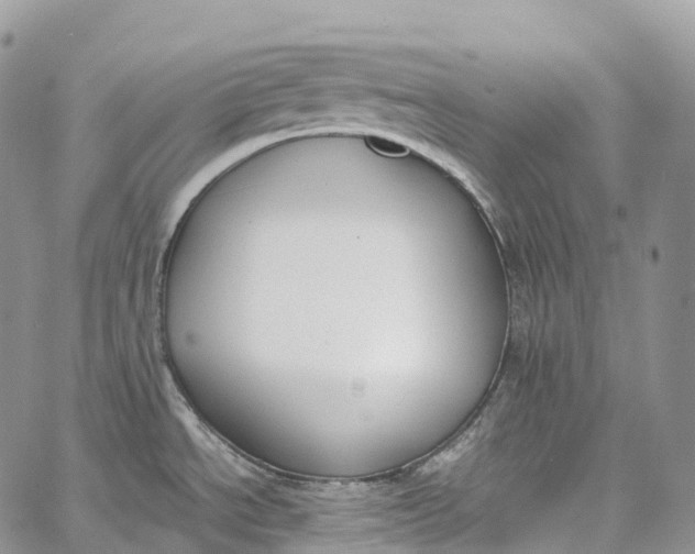 X0000062671534200601040956