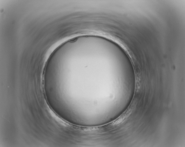 X0000062671535200601040956