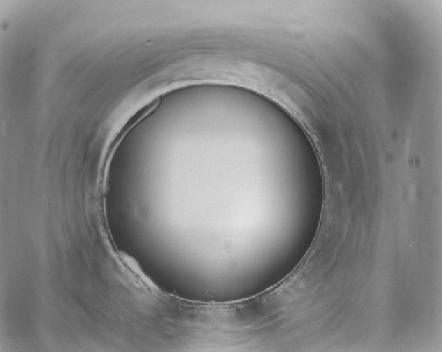 X0000062671536200601040956