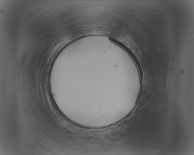 X0000062670001200601111256