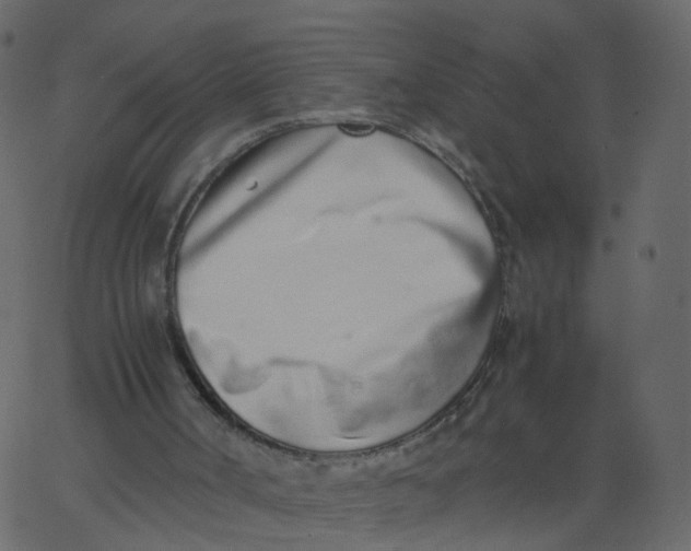 X0000062670002200601111256