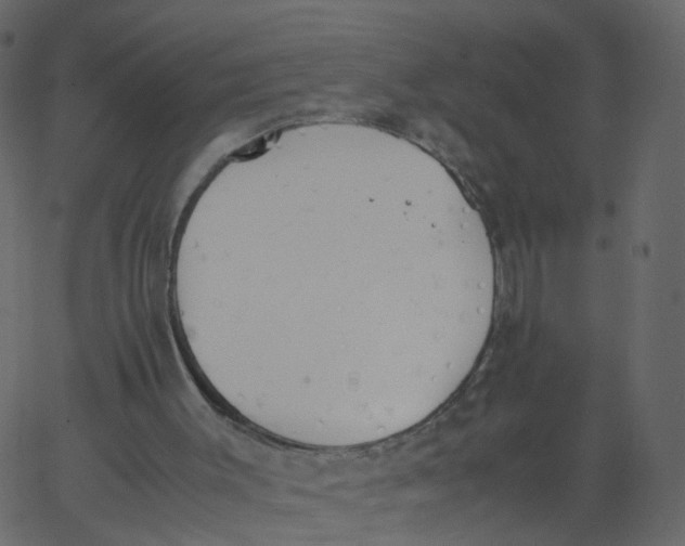 X0000062670003200601111256