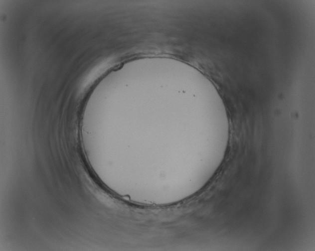 X0000062670005200601111256