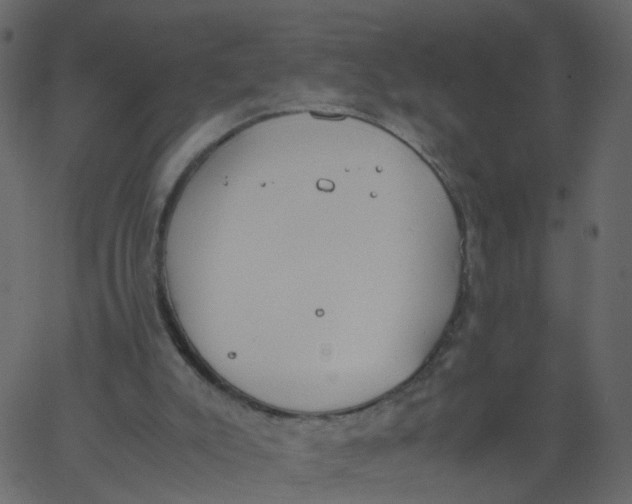 X0000062670007200601111256