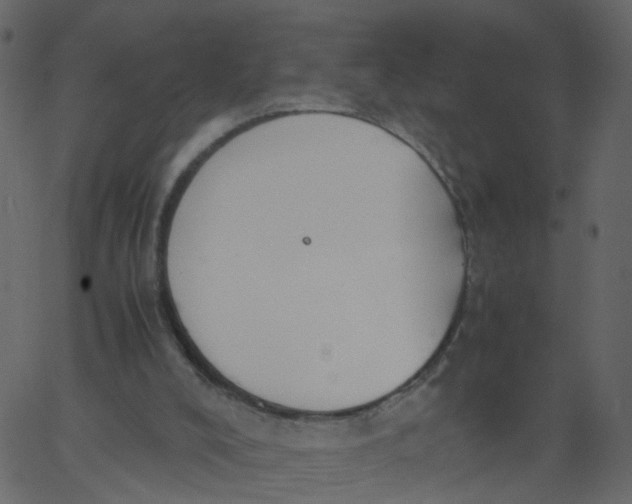 X0000062670008200601111256