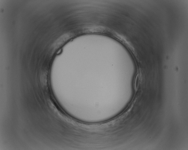 X0000062670010200601111256