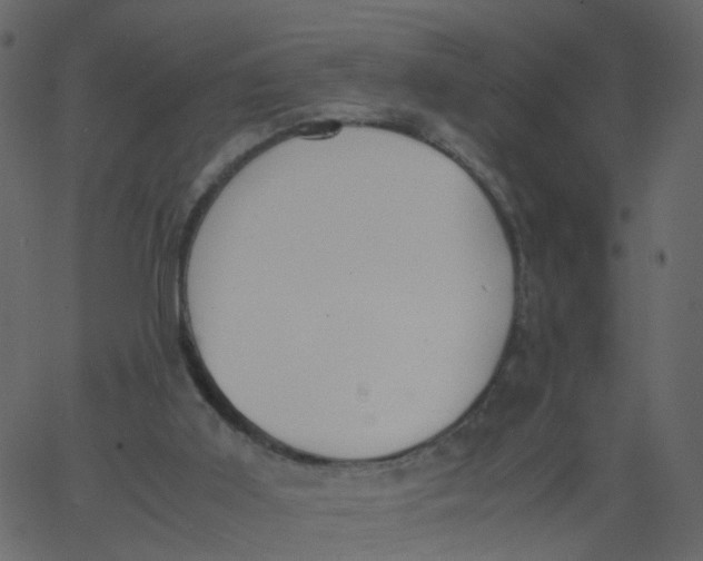 X0000062670011200601111256