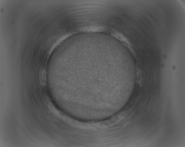 X0000062670012200601111256