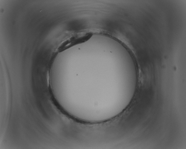 X0000062670013200601111256