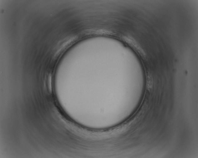 X0000062670014200601111256