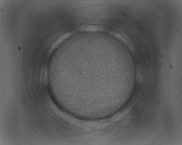 X0000062670016200601111256