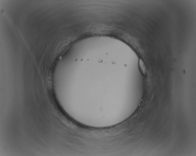 X0000062670017200601111256