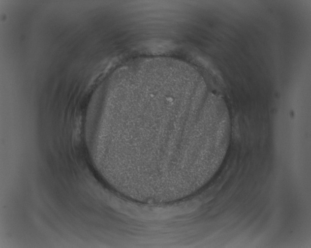 X0000062670018200601111256