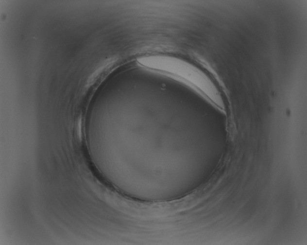 X0000062670019200601111256