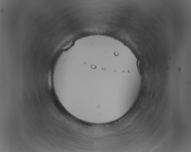 X0000062670020200601111256