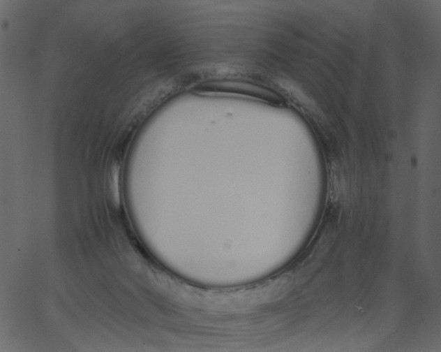 X0000062670022200601111256