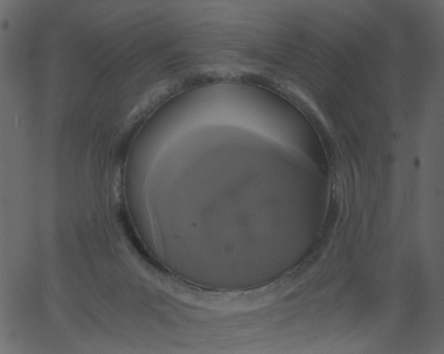 X0000062670023200601111255