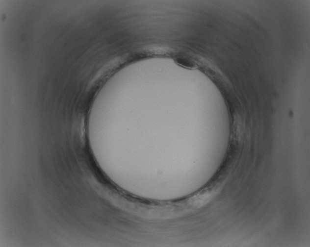 X0000062670024200601111255