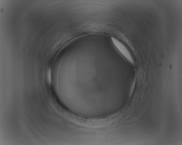 X0000062670027200601111255