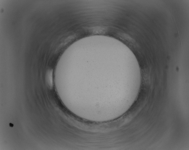 X0000062670028200601111255