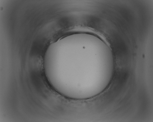 X0000062670029200601111255