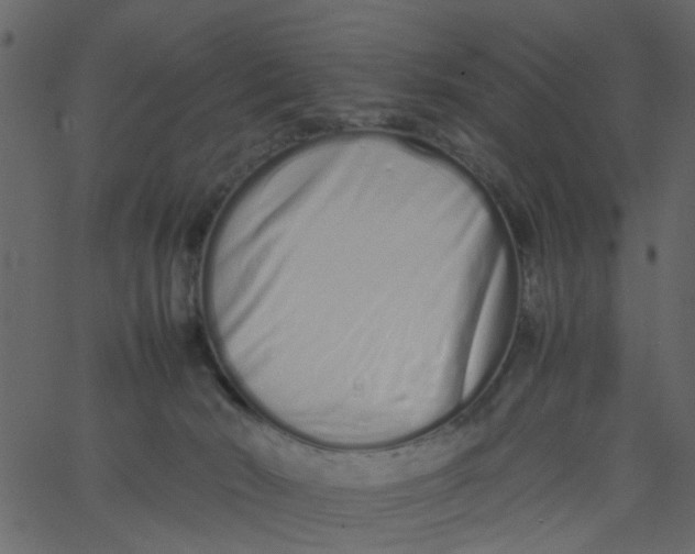 X0000062670030200601111255