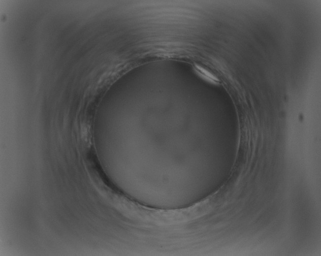 X0000062670031200601111255