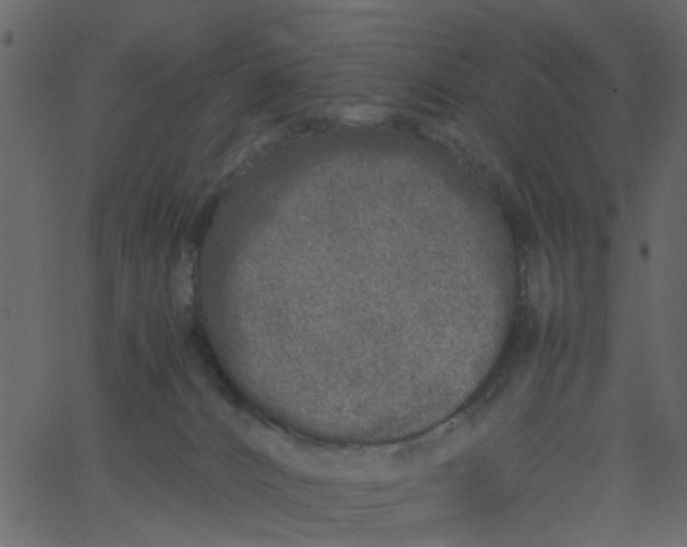 X0000062670032200601111255