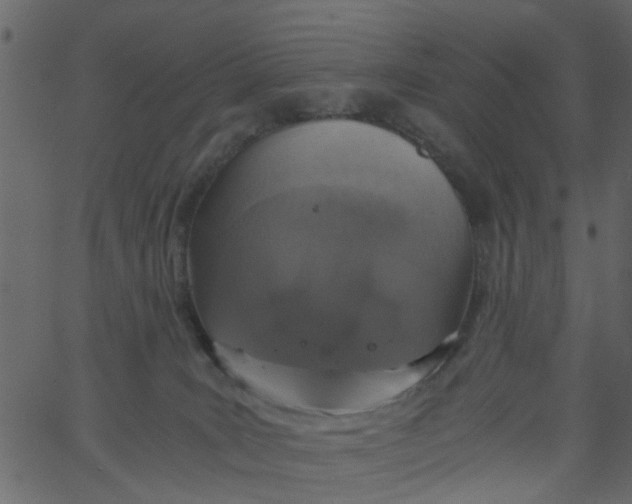 X0000062670035200601111255