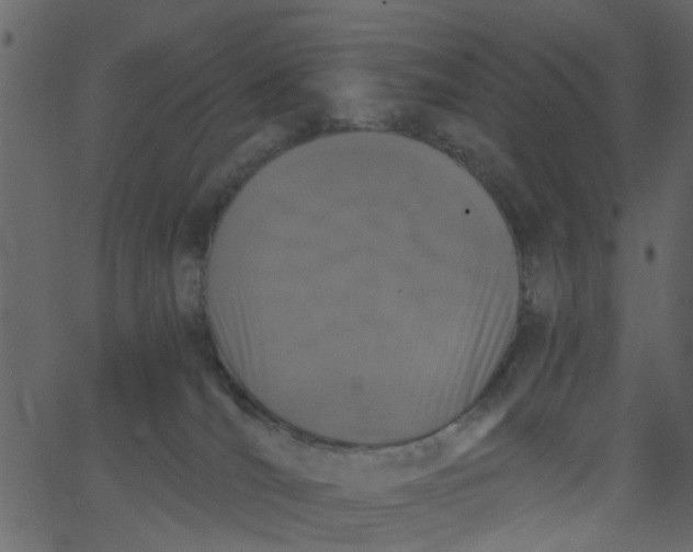 X0000062670036200601111255