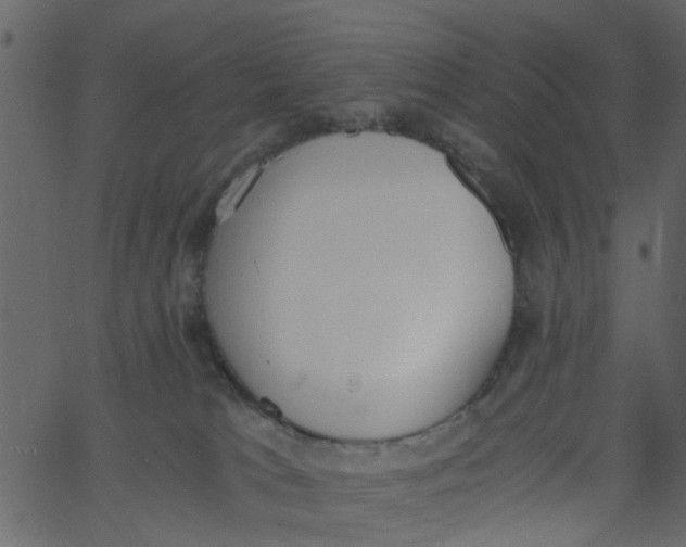 X0000062670037200601111255