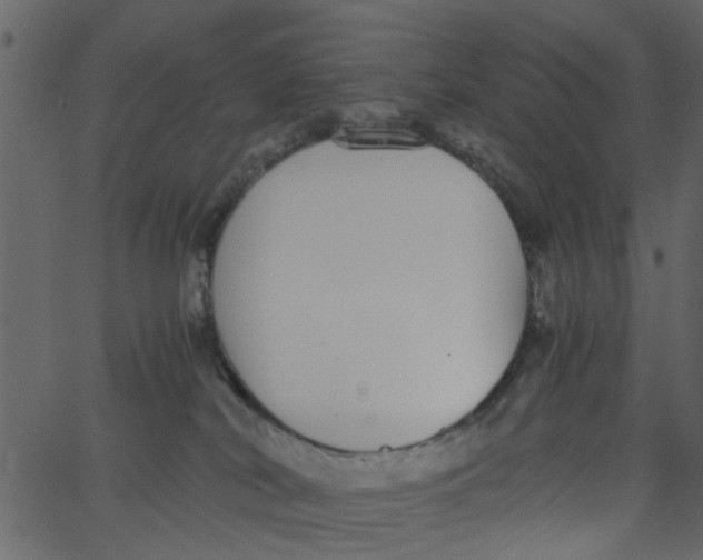 X0000062670038200601111255