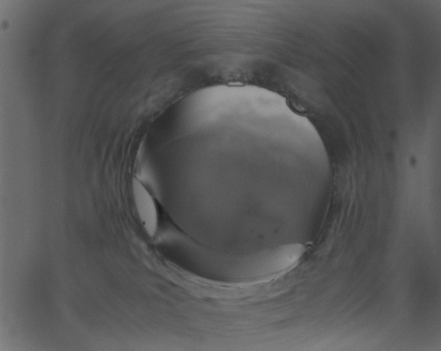 X0000062670039200601111255