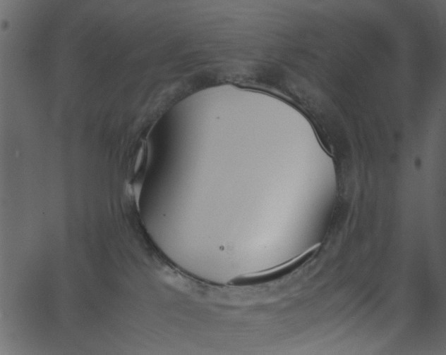 X0000062670041200601111255