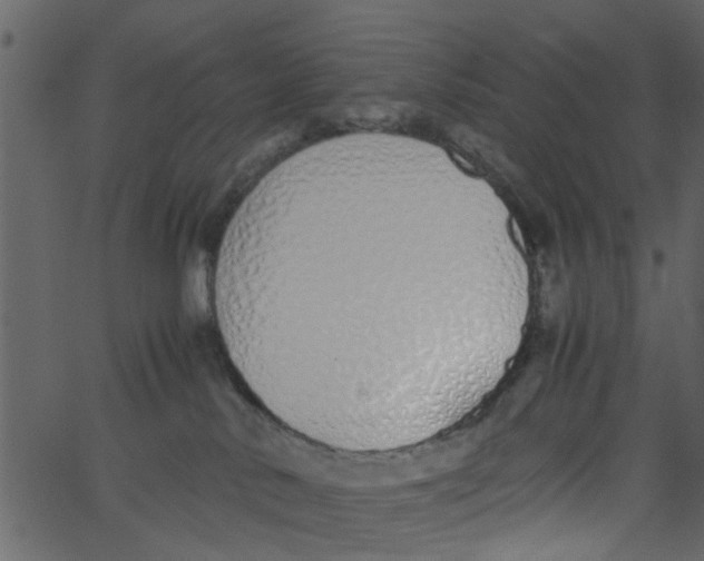 X0000062670042200601111255