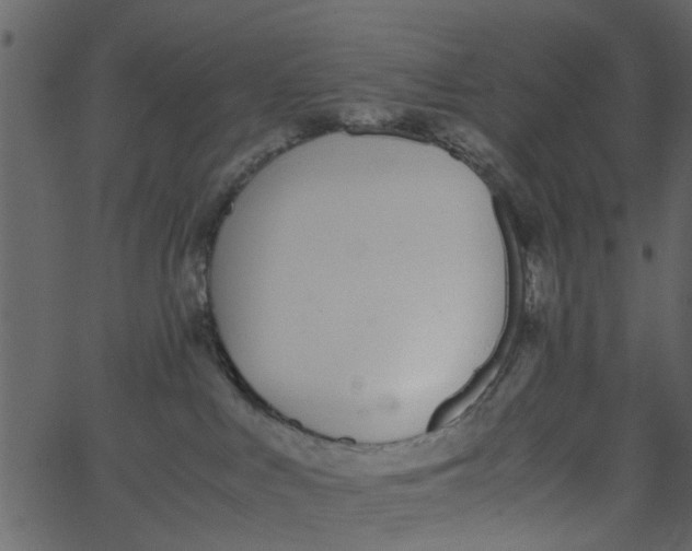 X0000062670043200601111255