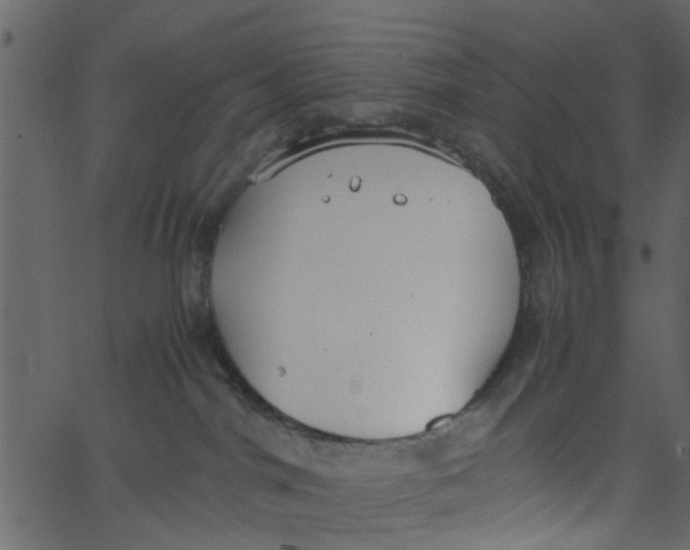 X0000062670044200601111255