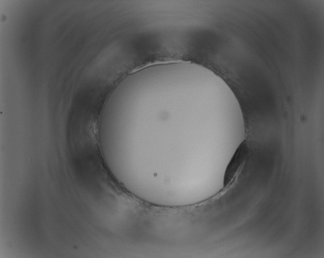 X0000062670045200601111255