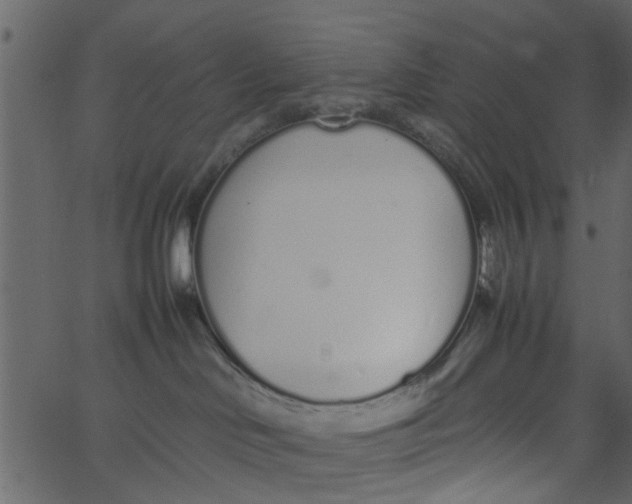 X0000062670046200601111255