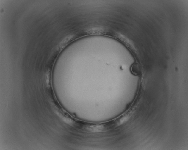 X0000062670065200601111255