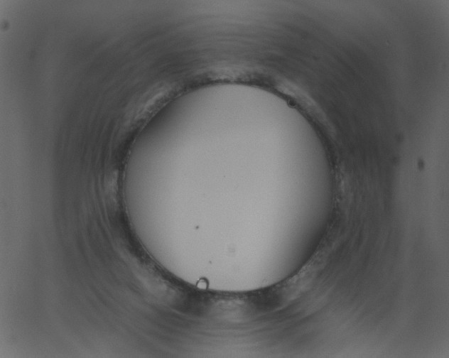 X0000062670066200601111255