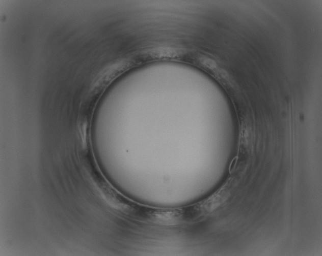 X0000062670070200601111255