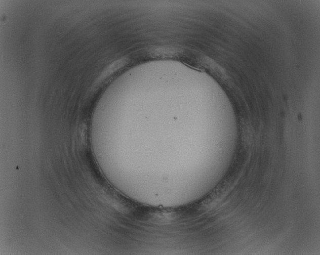 X0000062670071200601111255