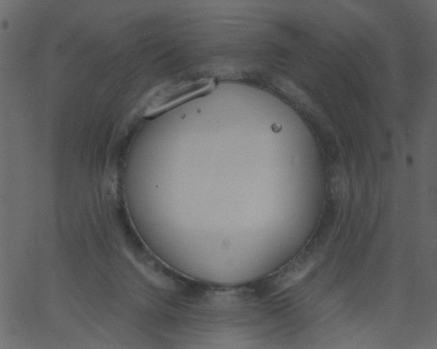 X0000062670072200601111255