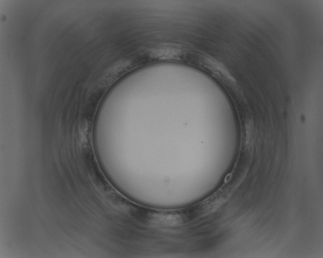 X0000062670073200601111255