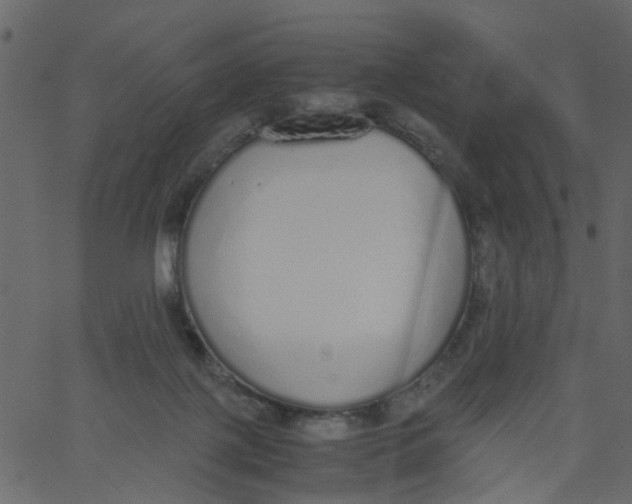 X0000062670075200601111255