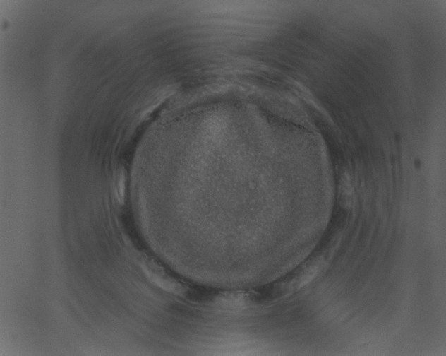 X0000062670076200601111255