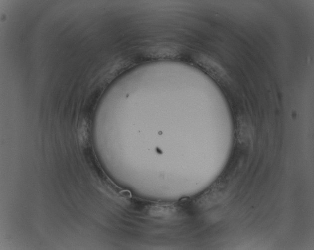 X0000062670077200601111255